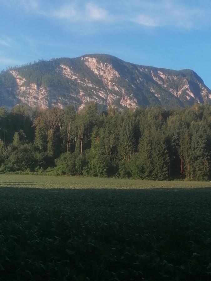 Appartment Resi Wohlfuehlen Und Relaxen Eberndorf Extérieur photo